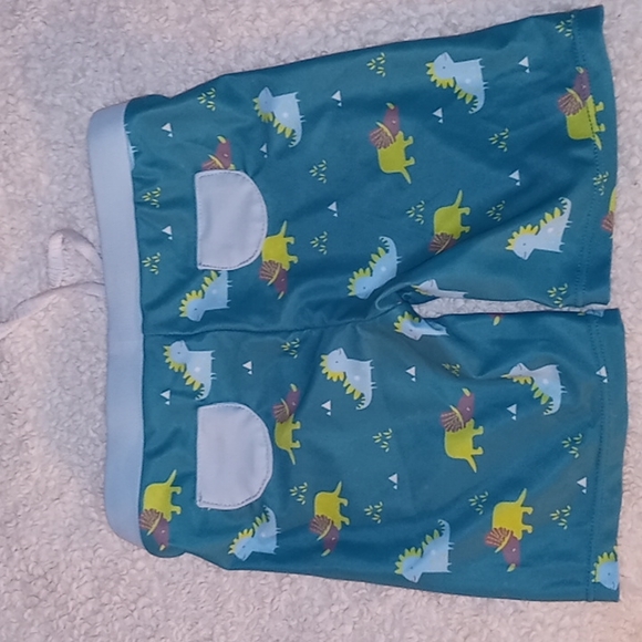 Toddler Dino Swim Trunks & Sun Top NEVER WORN - Picture 5 of 6